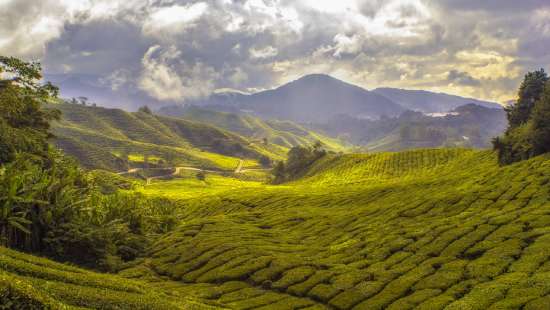 Munnar